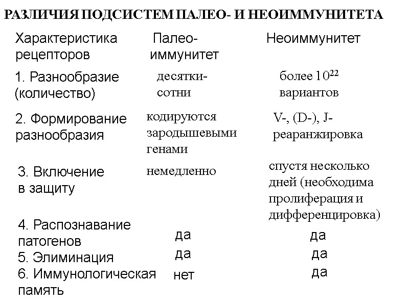 РАЗЛИЧИЯ ПОДСИСТЕМ ПАЛЕО- И НЕОИММУНИТЕТА Характеристика рецепторов  Палео- иммунитет Неоиммунитет 1. Разнообразие (количество)